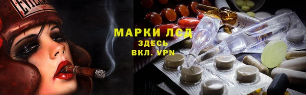 шишки Вязники
