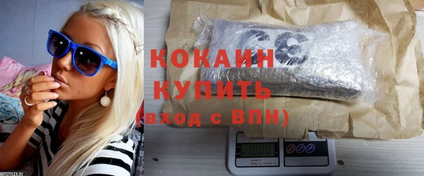 шишки Вязники
