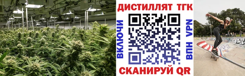 как найти закладки  Камешково  ТГК THC oil 